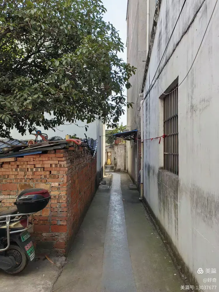 义乌市江湾村随拍